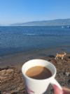 Barcelona Beach Camping deniz kenarında kahve keyfi