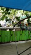 Leyla k. picture about hotel