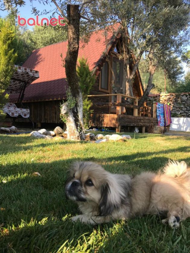 Geniş bahçeli alanlarda kurulan güzel bir bungalow otel 