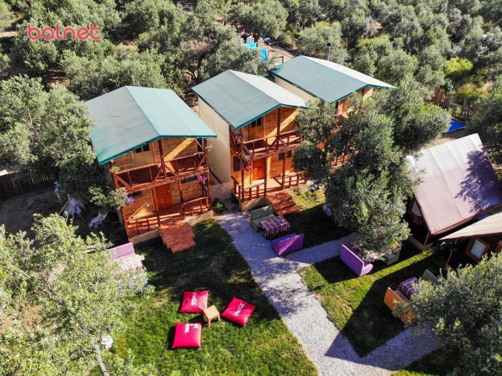 Zeytinlikler içinde Bungalov evler